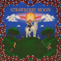the cover of strawberry moon, with an image of a man riding a horse on top of a hill