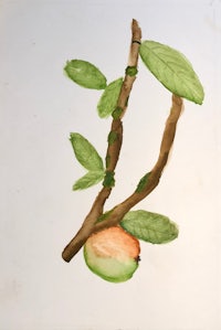 a watercolor painting of a peach on a branch