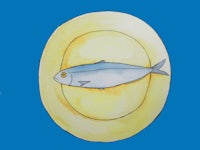 a fish in a yellow hat on a blue background