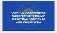 count on our experience and expertise to deliver the optimal solution to your tree problem