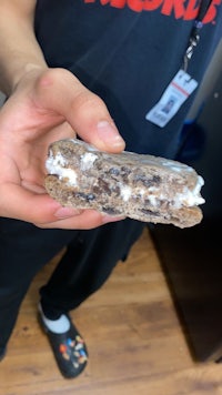 a person holding an ice cream sandwich