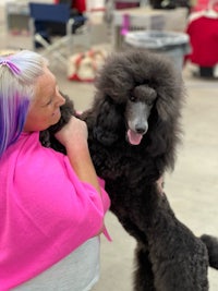 a woman holding a black poodle at a dog show