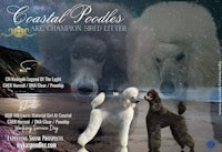 a poster with two poodles on the beach