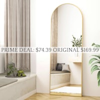 a gold mirror in a room with a potted plant