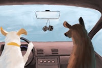 two dogs sitting in a car