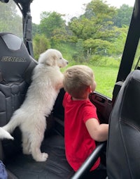 a boy and a white dog sitting in the back seat of an atv