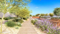 an artist's rendering of a walkway with plants and shrubs