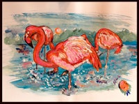 a watercolor painting of flamingos in the water