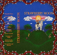 the cover of strawberry moon