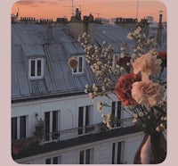 a woman is holding a bouquet of flowers on a balcony in paris