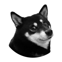 a black and white photo of a shiba inu dog