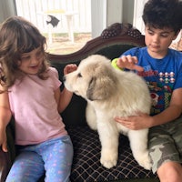 two kids sitting on a couch with a white dog