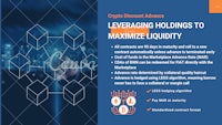 leveraging holdings to maximize liquidity