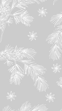a white background with pine cones and snowflakes