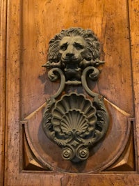 a door knocker with a lion head on it