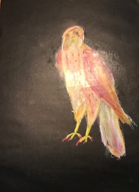 a drawing of a hawk on a blackboard