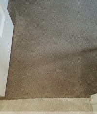 a close up of a carpet that has been cleaned