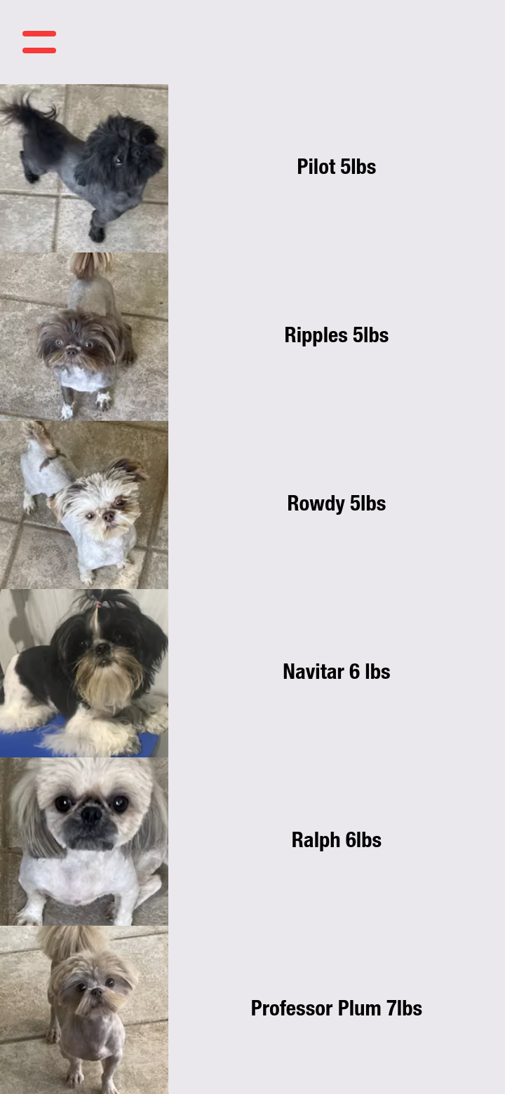 Ncb shih hot sale tzu