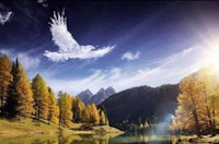 a white bird flies over a lake with trees in the background