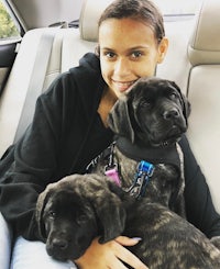a woman sits in the back seat of a car with two black puppies