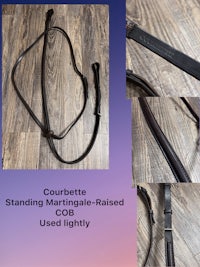 a picture of a bridle and a halter with the words'couvette standing martingale-raised