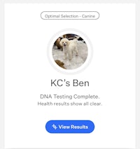 kc's ben dna testing complete