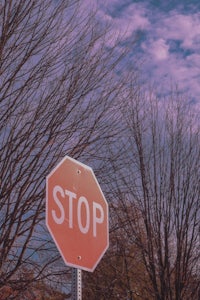 a stop sign in front of a tree