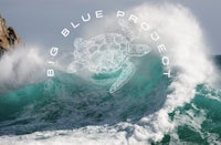 the big blue project logo with a turtle on it