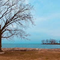 a lone tree in front of a body of water