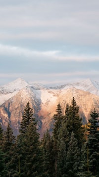 a mountain range with snow capped trees in the background