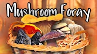 mushrooms in a basket with the words mushroom fogy
