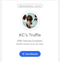 kc's truffle dna testing complete