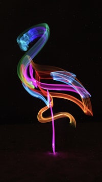 a colorful light painting of a flamingo