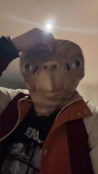 a person wearing a teddy bear mask