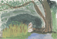a watercolor painting of a tree near a river