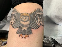 a tattoo of an owl on a person's leg