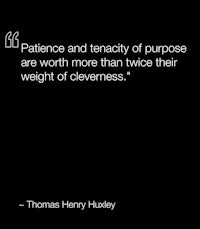 patience and tenacity of purpose are worth more than twice their weight of obliviousness - thomas hughes