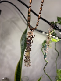 a copper necklace hanging from a plant