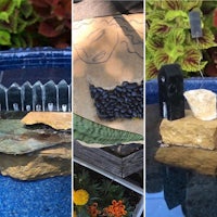four pictures of rocks and plants in a pond