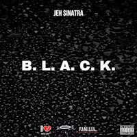 the cover of jel sinatra's black