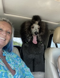 a woman and a black poodle sitting in the back seat of a car