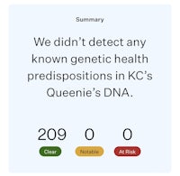 a screen with the text, we didn't detect any known genetic health's predispositions's kdna