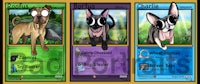 a set of pokemon cards with a cat and a dog