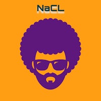 a man with an afro and sunglasses on an orange background