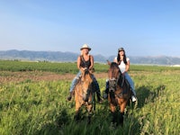 two women on horses in a field