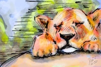 a drawing of a lion sleeping on a rock