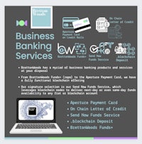 business banking services infographic