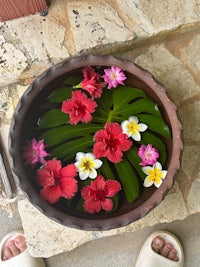 a bowl of water with flowers in it