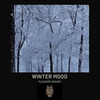 a black and white poster with the words winter mood