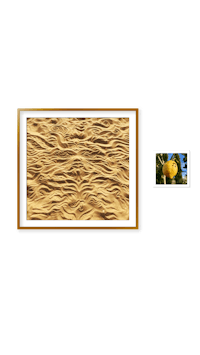 a framed picture of a yellow flower